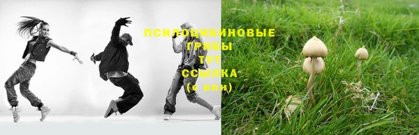 ALPHA-PVP Заводоуковск