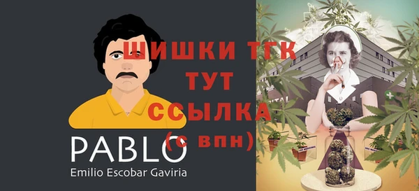 дживик Заволжск