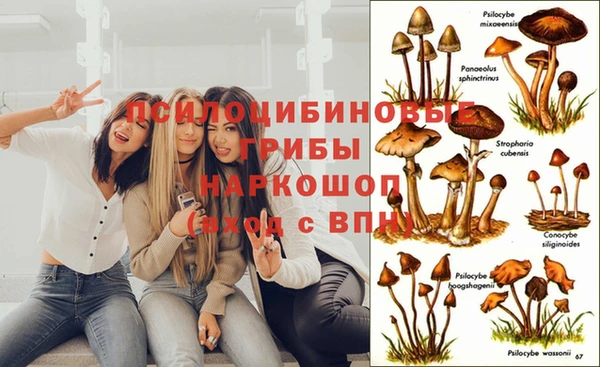 дживик Заволжск