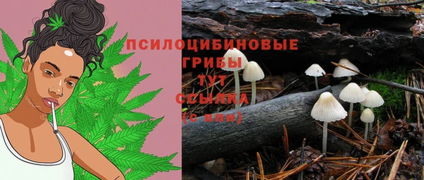 дживик Заволжск