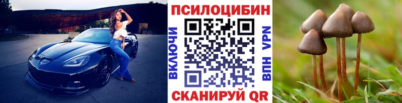 где купить наркотик Моршанск Галлюциногенные грибы мухоморы