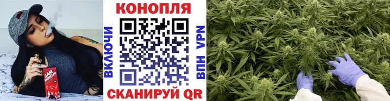 Шишки марихуана сатива  дарнет шоп  Моршанск 
